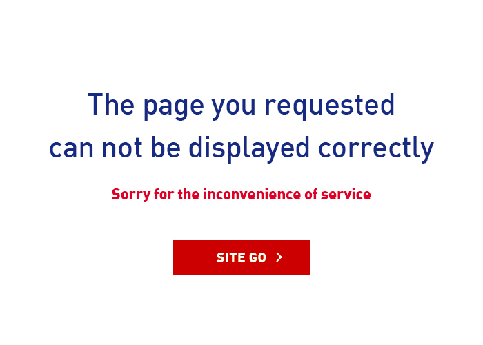 The page you requested can not be displayed correctly _ SITE GO