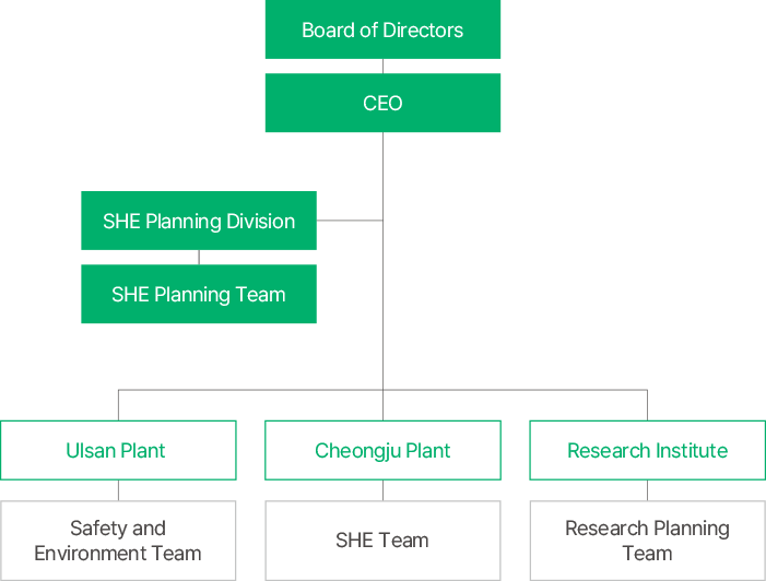 SHE Management Governance Process, see below for details